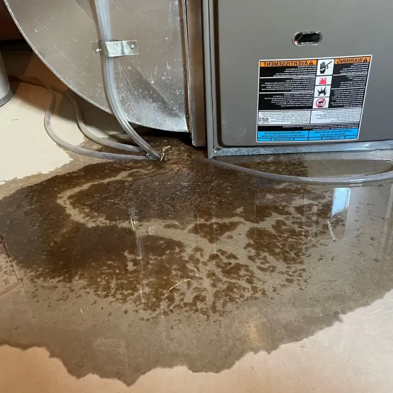 Pipe Burst and Leak Restoration in Hudson, OH